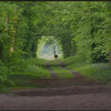 Διαμέρισμα Superbe Terrasse Chantilly Bois Saint Denis *